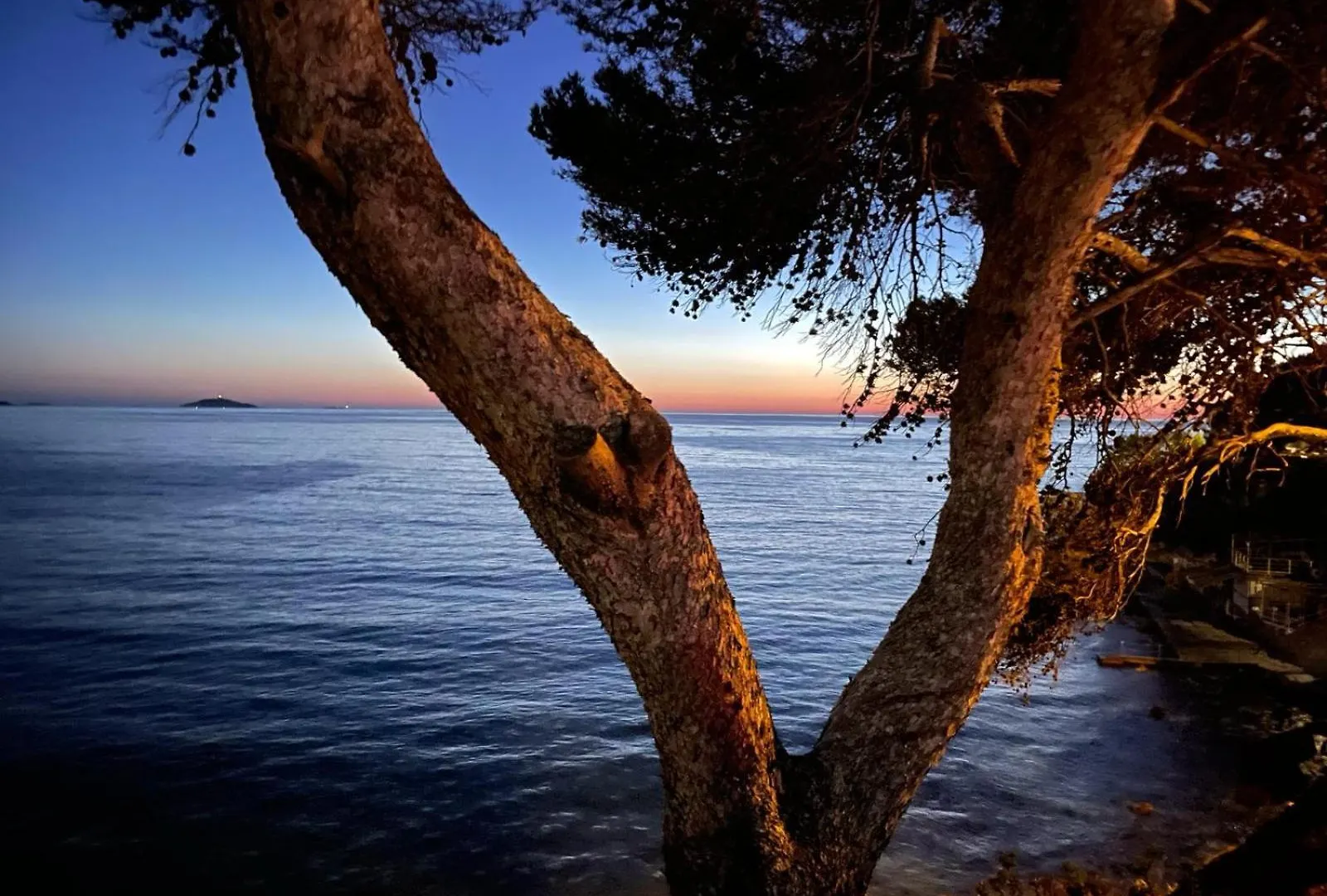 Vacances Bord De Mer - Appartement Sanary Sur Mer Apartment Sanary-sur-Mer