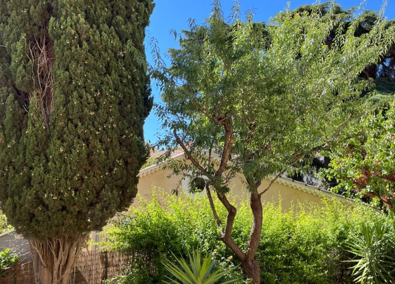 Vacances Bord De Mer - Appartement Sanary Sur Mer